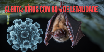 Sintomas incluem convulsões, coma e morte em poucos dias; vigilância é crucial.