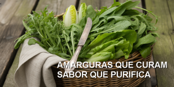 Quando o amargo é remédio e fonte de vitalidade